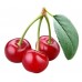 Milka Cherry