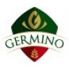 Germino